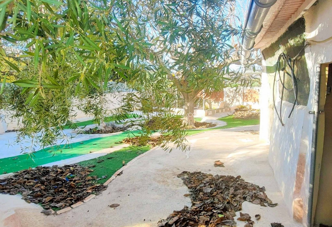 Venta - Villa  - Aspe