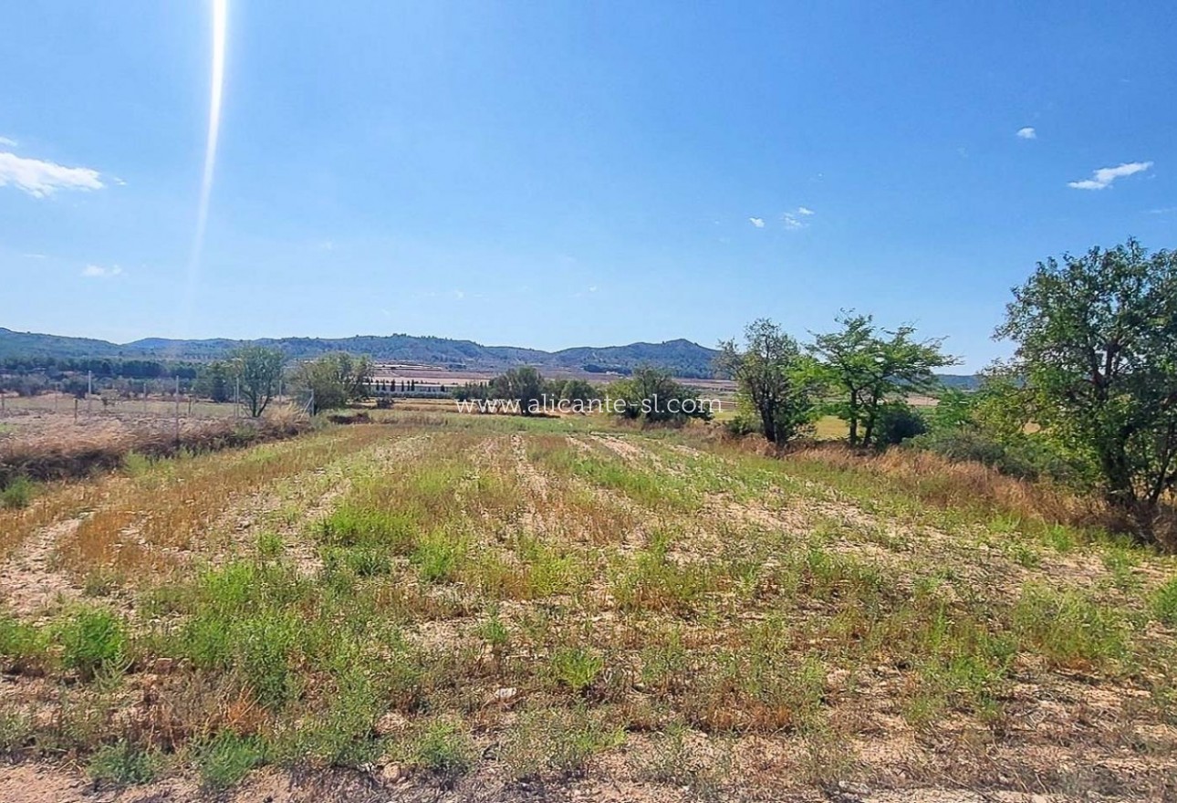 Venta - Villa  - Caudete