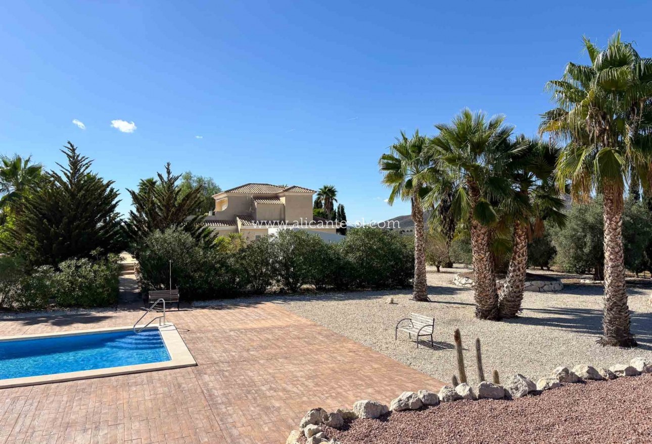 Venta - Villa  - Hondón de las Nieves