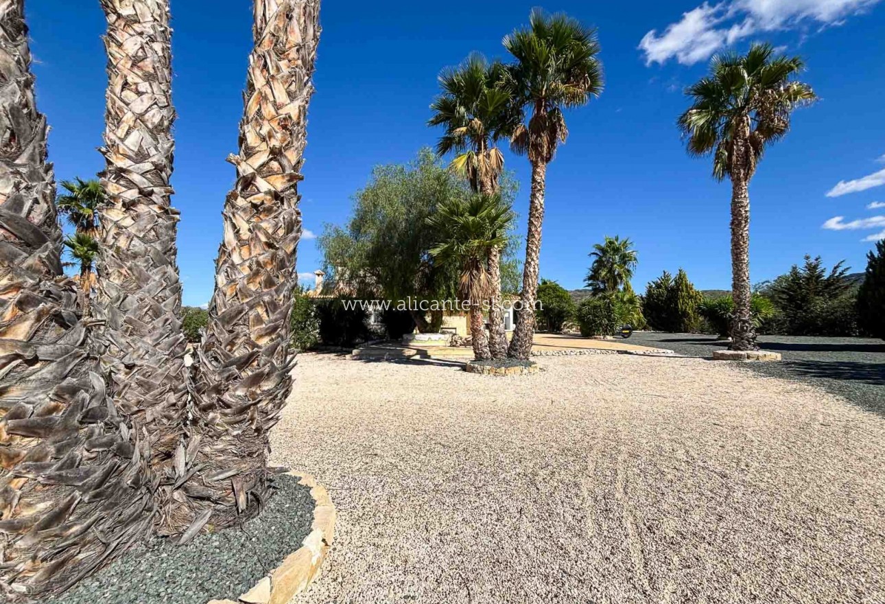 Venta - Villa  - Hondón de las Nieves