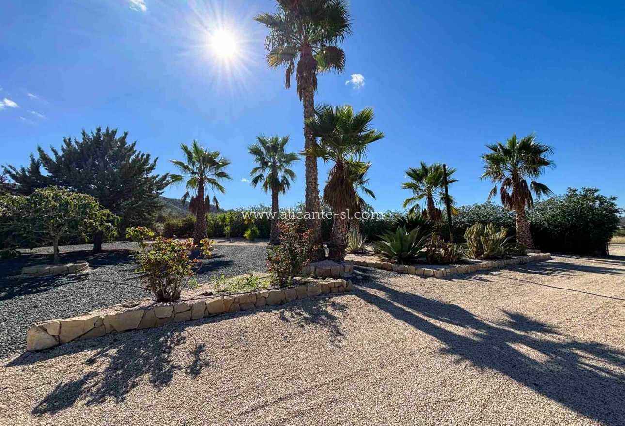 Venta - Villa  - Hondón de las Nieves