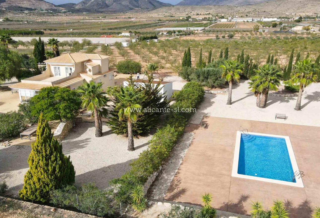 Venta - Villa  - Hondón de las Nieves