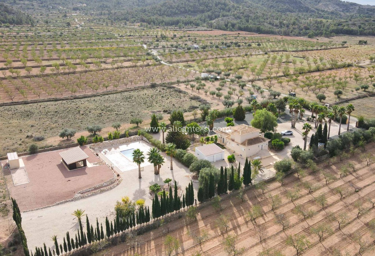 Venta - Villa  - Hondón de las Nieves