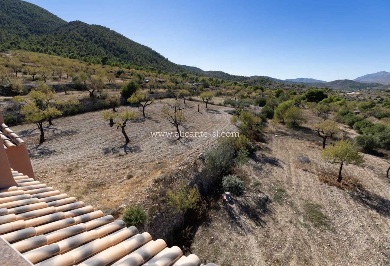 Venta - Villa  - Hondón de las Nieves