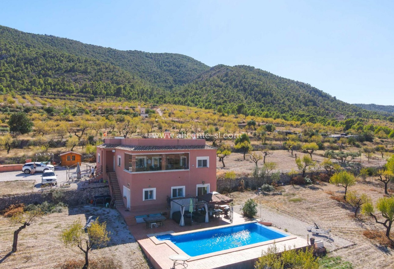 Venta - Villa  - Hondón de las Nieves