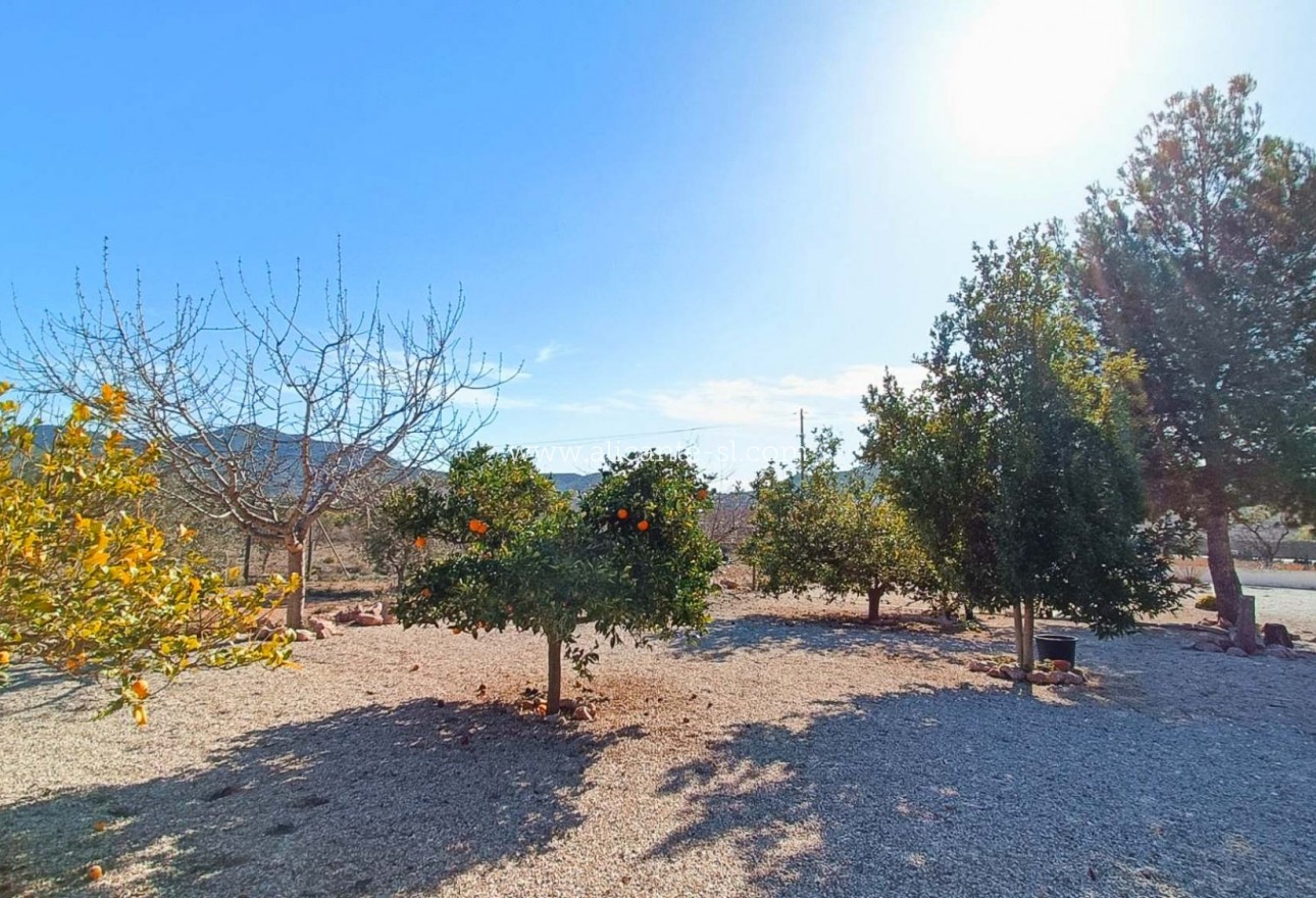 Venta - Villa  - Hondón de los Fráiles