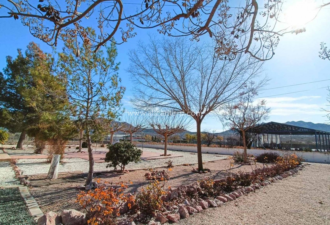 Venta - Villa  - Hondón de los Fráiles