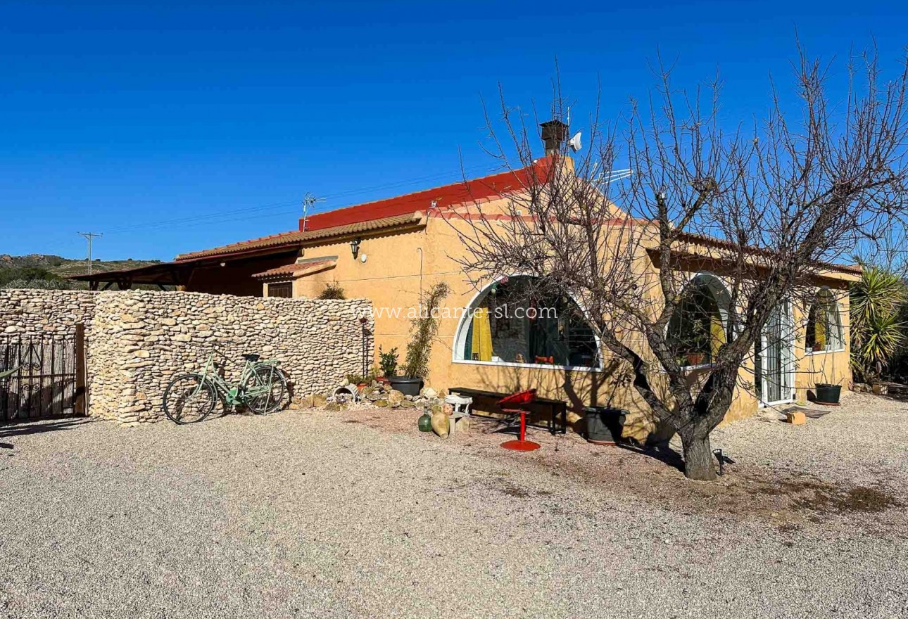 Venta - Villa  - Sax