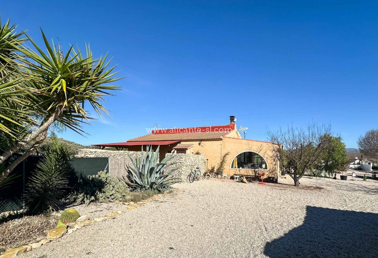 Venta - Villa  - Sax