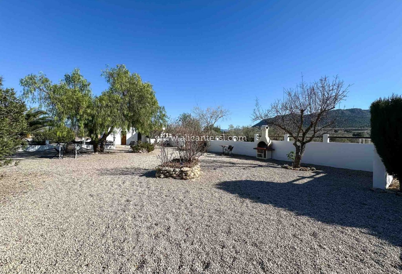 Venta - Villa  - Sax