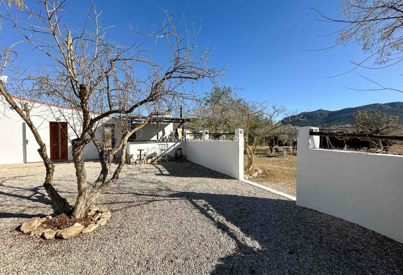 Venta - Villa  - Sax