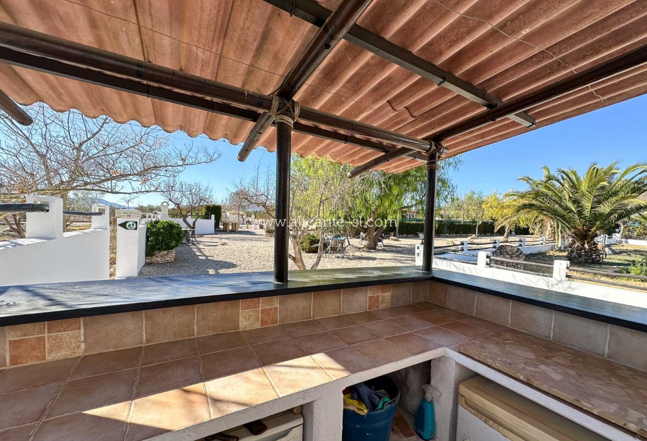 Venta - Villa  - Sax