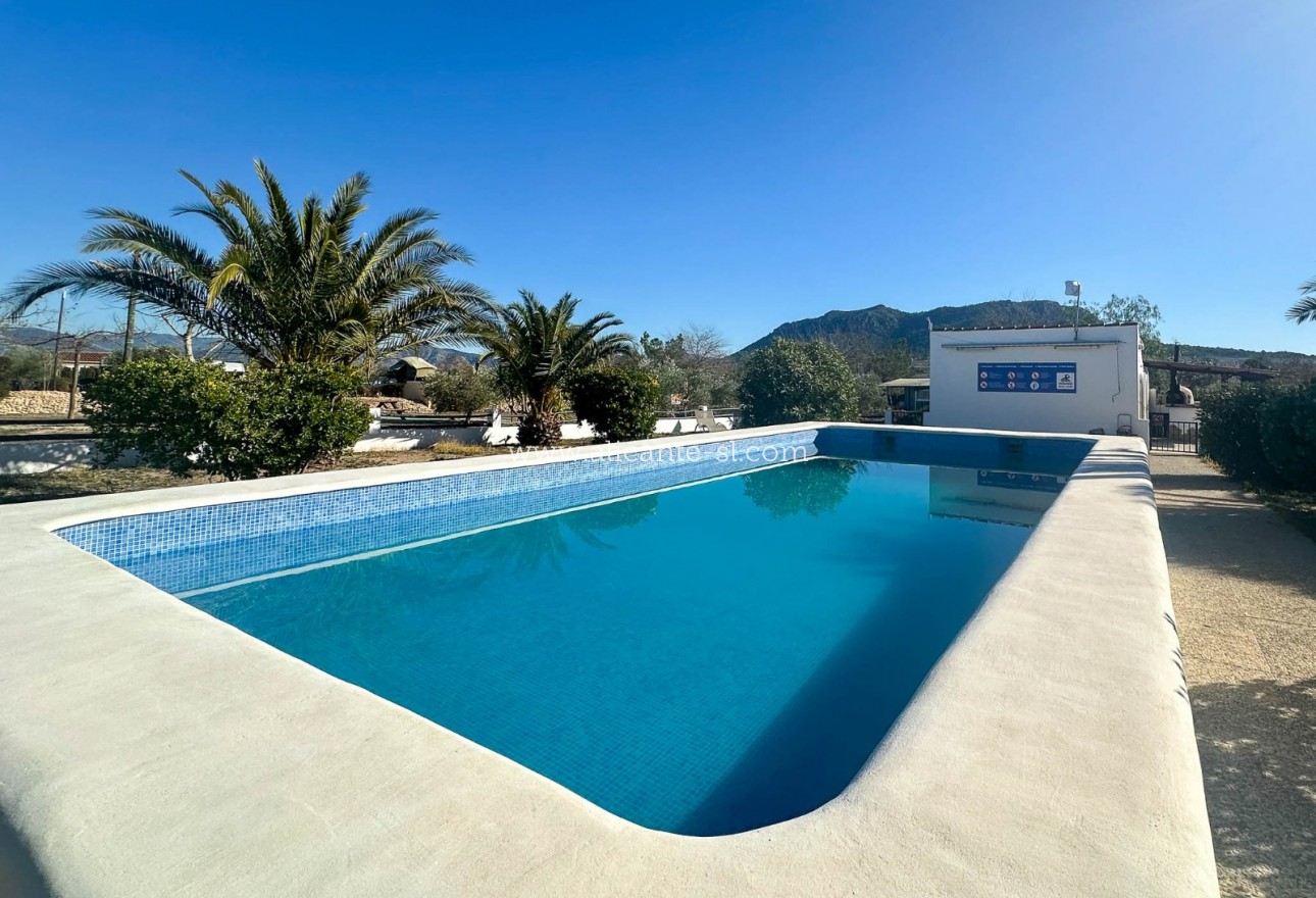 Venta - Villa  - Sax