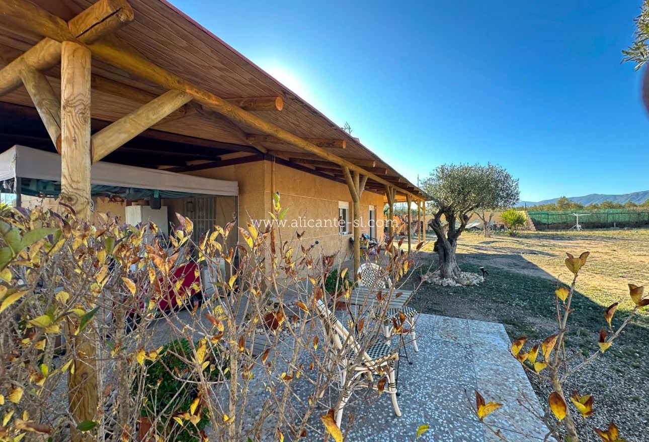 Venta - Villa  - Sax