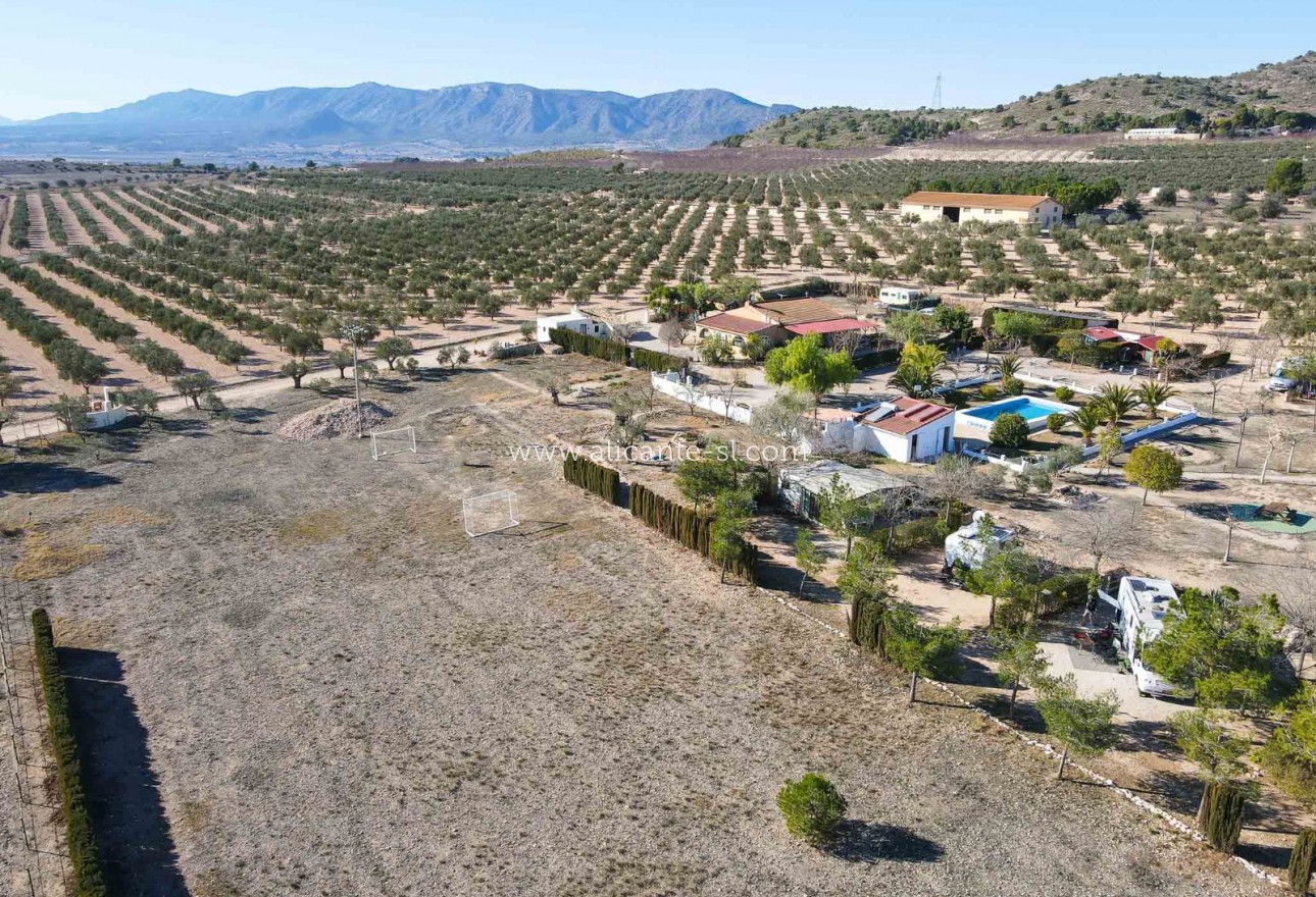 Venta - Villa  - Sax