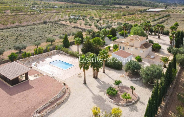 Villa / Doppelhaushälfte - Resale - Hondón de las Nieves - Hondón de las Nieves