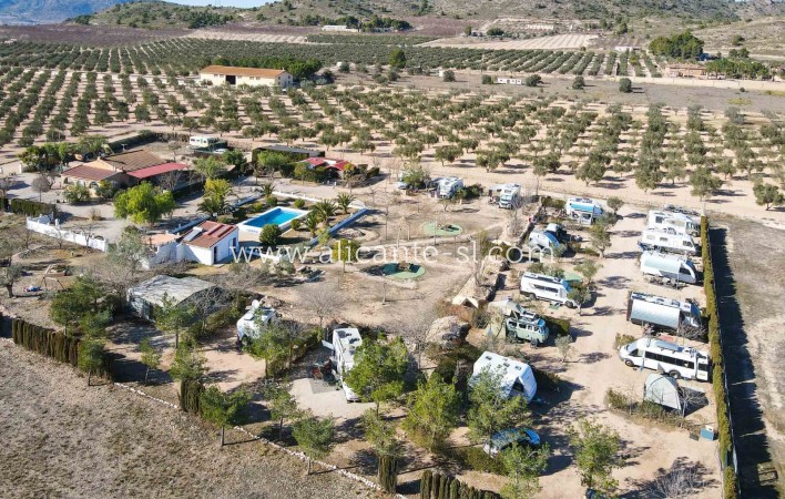 Villa / Doppelhaushälfte - Resale - Sax - ASL-611