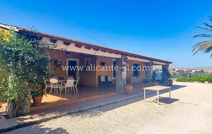 Villa  - Sale - Novelda - Novelda