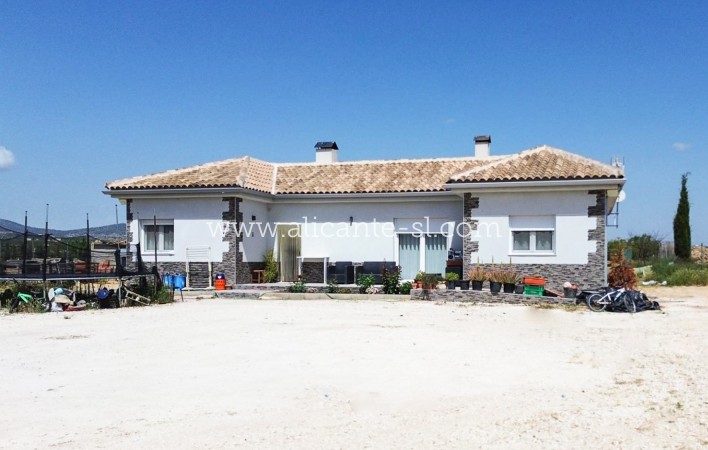 Villa  - Sale - Pinoso - Pinoso
