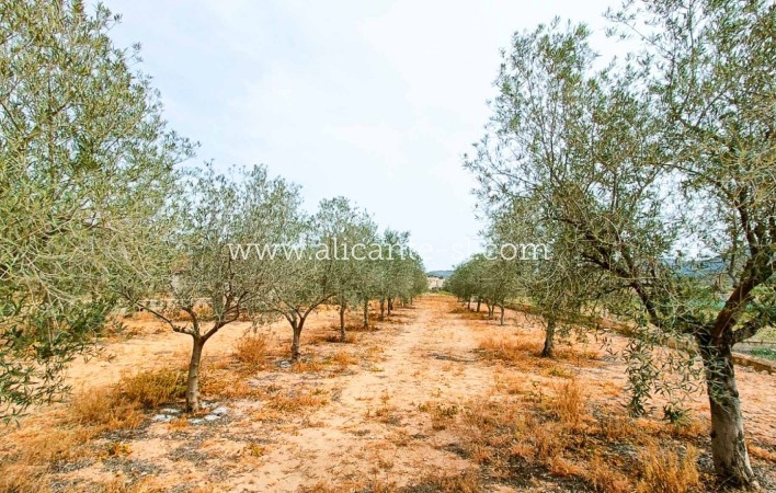 Sale - Finca - Hondón de los Fráiles