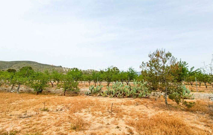 Sale - Finca - Hondón de los Fráiles