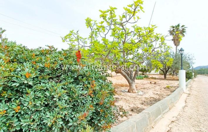 Sale - Finca - Hondón de los Fráiles