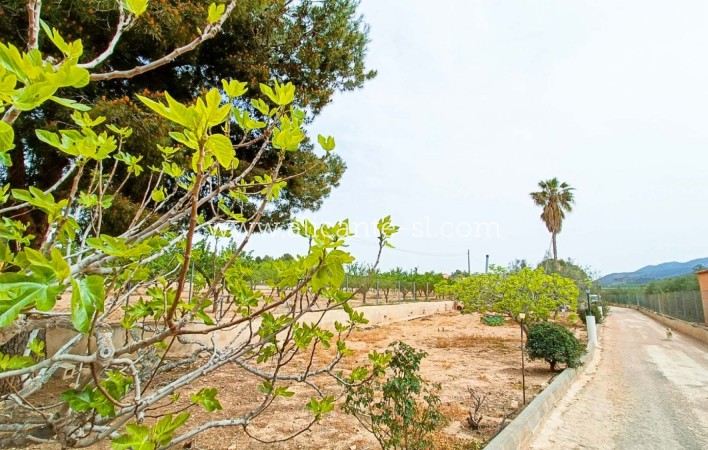 Sale - Finca - Hondón de los Fráiles