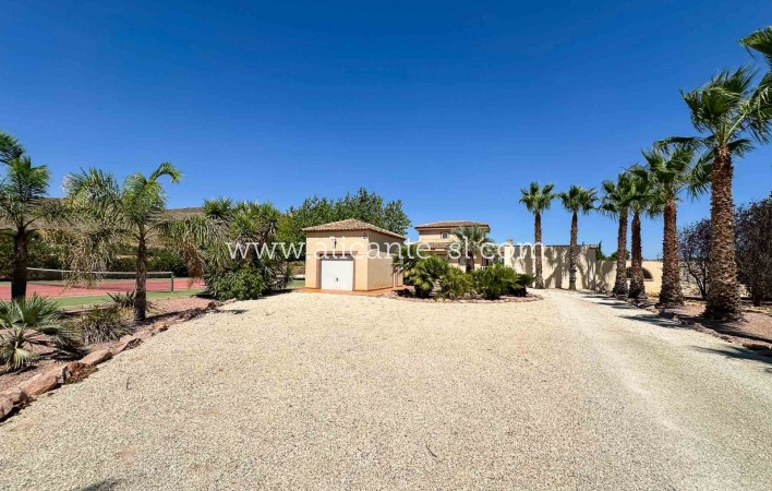 Resale - Villa / Doppelhaushälfte - Hondón de las Nieves