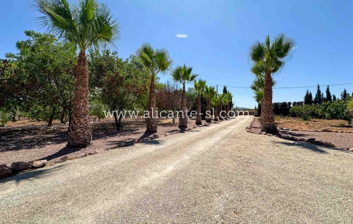 Resale - Villa / Doppelhaushälfte - Hondón de las Nieves