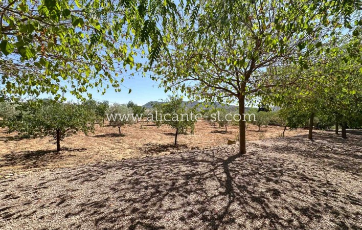 Resale - Villa / Doppelhaushälfte - Hondón de las Nieves