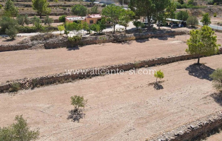 Revente - Finca - Hondón de las Nieves