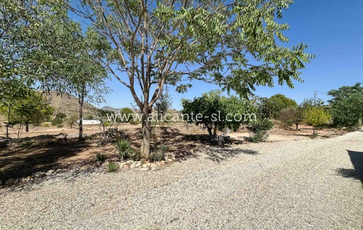 Revente - Finca - Hondón de las Nieves