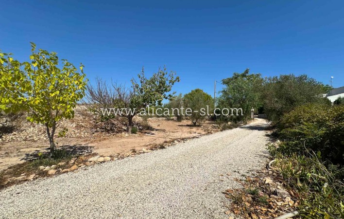 Revente - Finca - Hondón de las Nieves