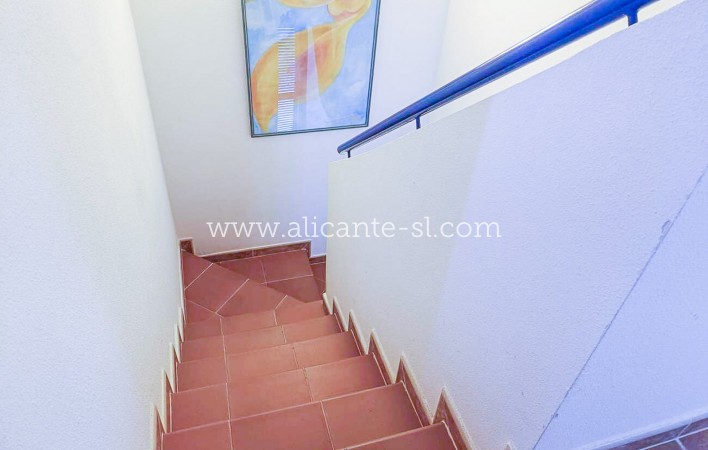 Sale - Villa  - Fortuna