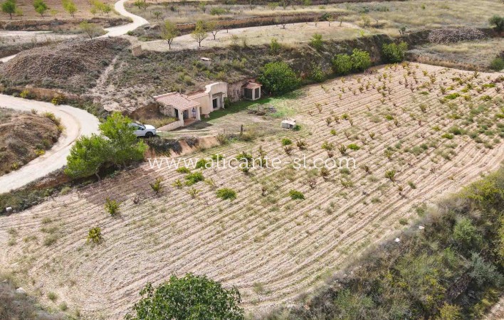 Resale - Wohnung - La Romana