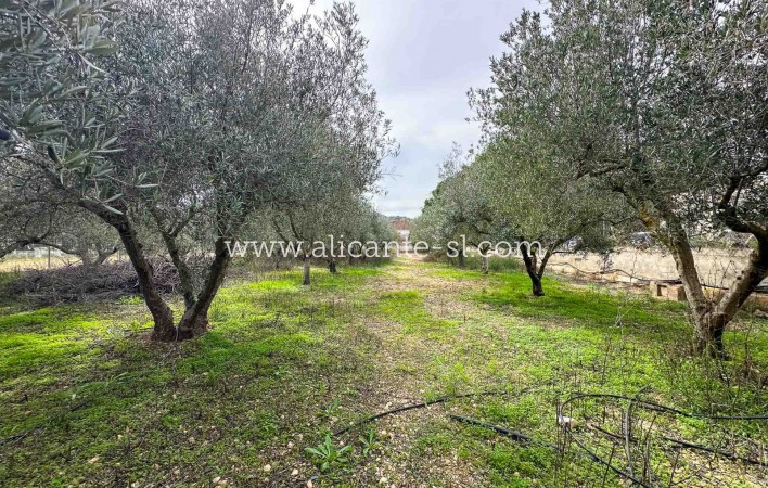 Sale - Villa  - Hondón de las Nieves