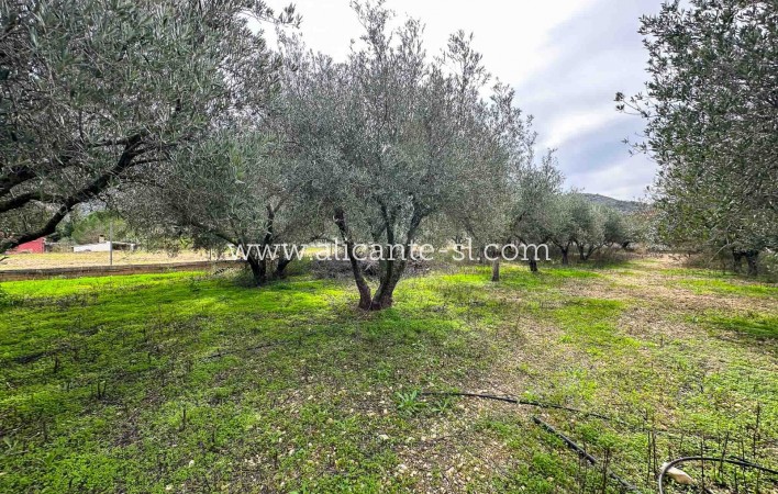 Sale - Villa  - Hondón de las Nieves