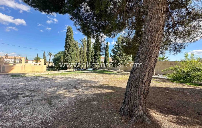 Venta - Finca - Monforte del Cid