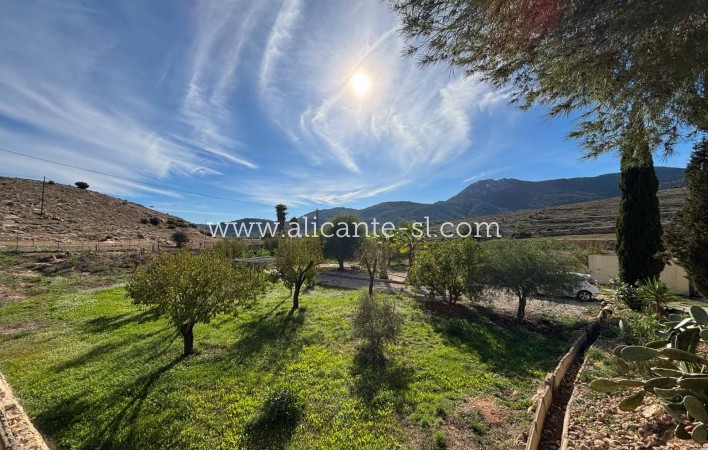 Venta - Finca - Hondón de las Nieves