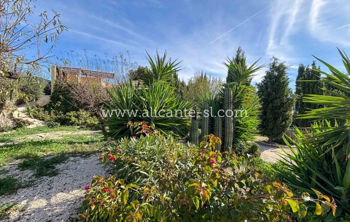 Venta - Finca - Hondón de las Nieves