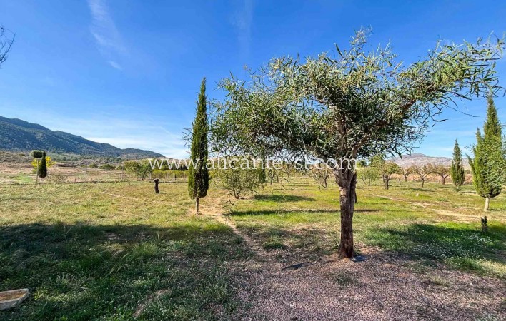 Venta - Finca - Hondón de las Nieves