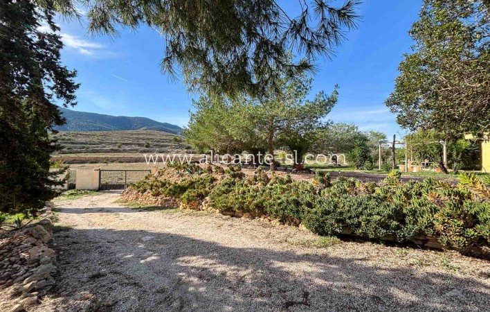 Venta - Finca - Hondón de las Nieves