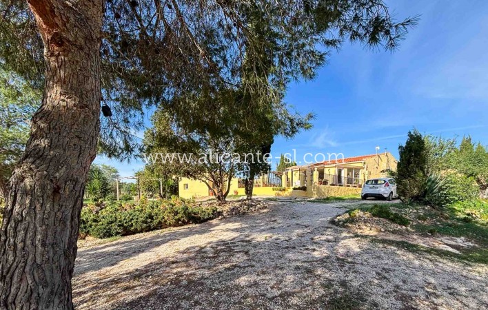 Venta - Finca - Hondón de las Nieves