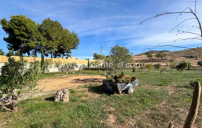 Venta - Finca - Hondón de las Nieves