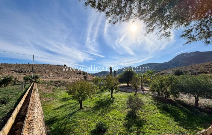 Venta - Finca - Hondón de las Nieves