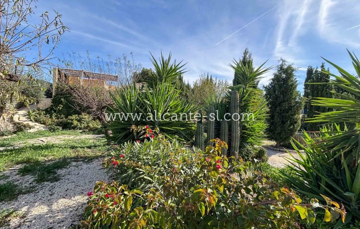 Venta - Finca - Hondón de las Nieves