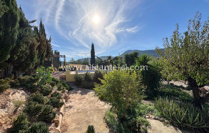 Venta - Finca - Hondón de las Nieves