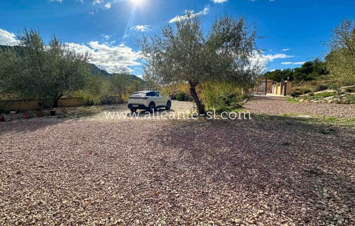 Sale - Country House - abanilla