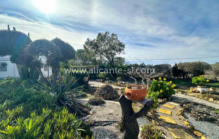 Revente - Finca - Hondón de las Nieves