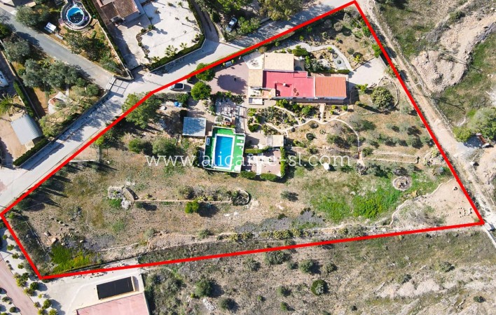 Revente - Finca - Hondón de las Nieves